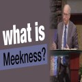 Understanding Biblical Meekness: Strength Under Control